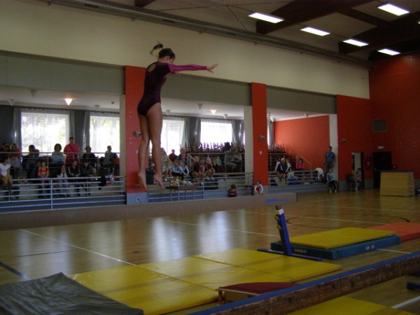 Poslední ročník Sokolovské kladinky, 2013
